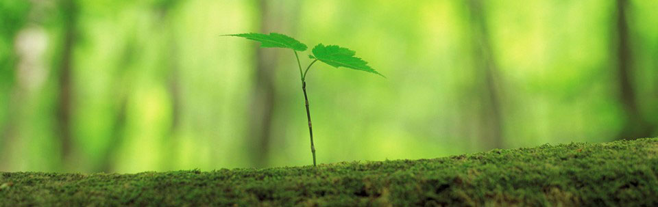 happinesswork_header