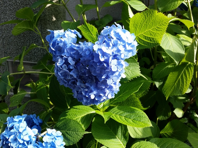 d2287b677189ed22970c700bbc31f1b9_s